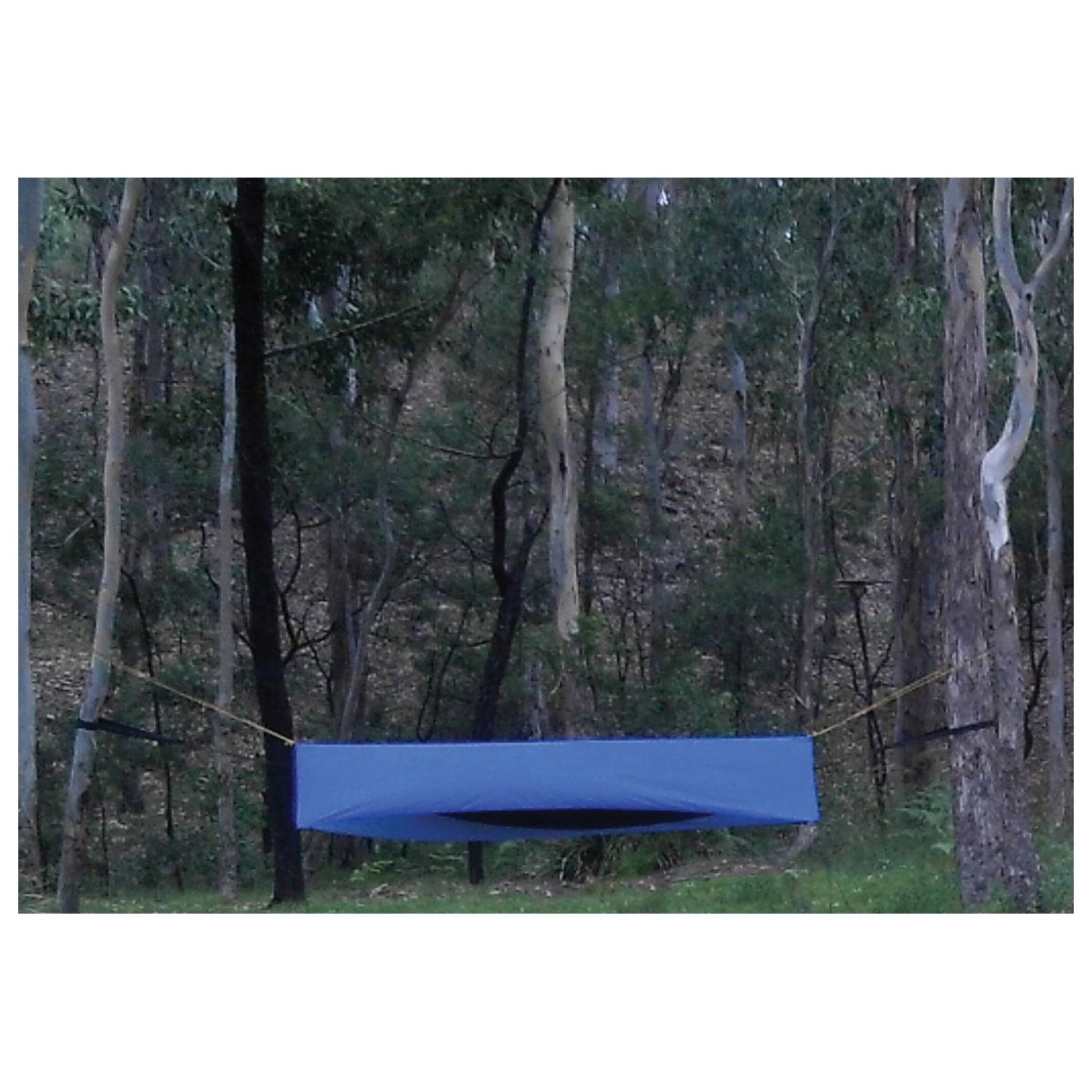 All Purpose Shelter