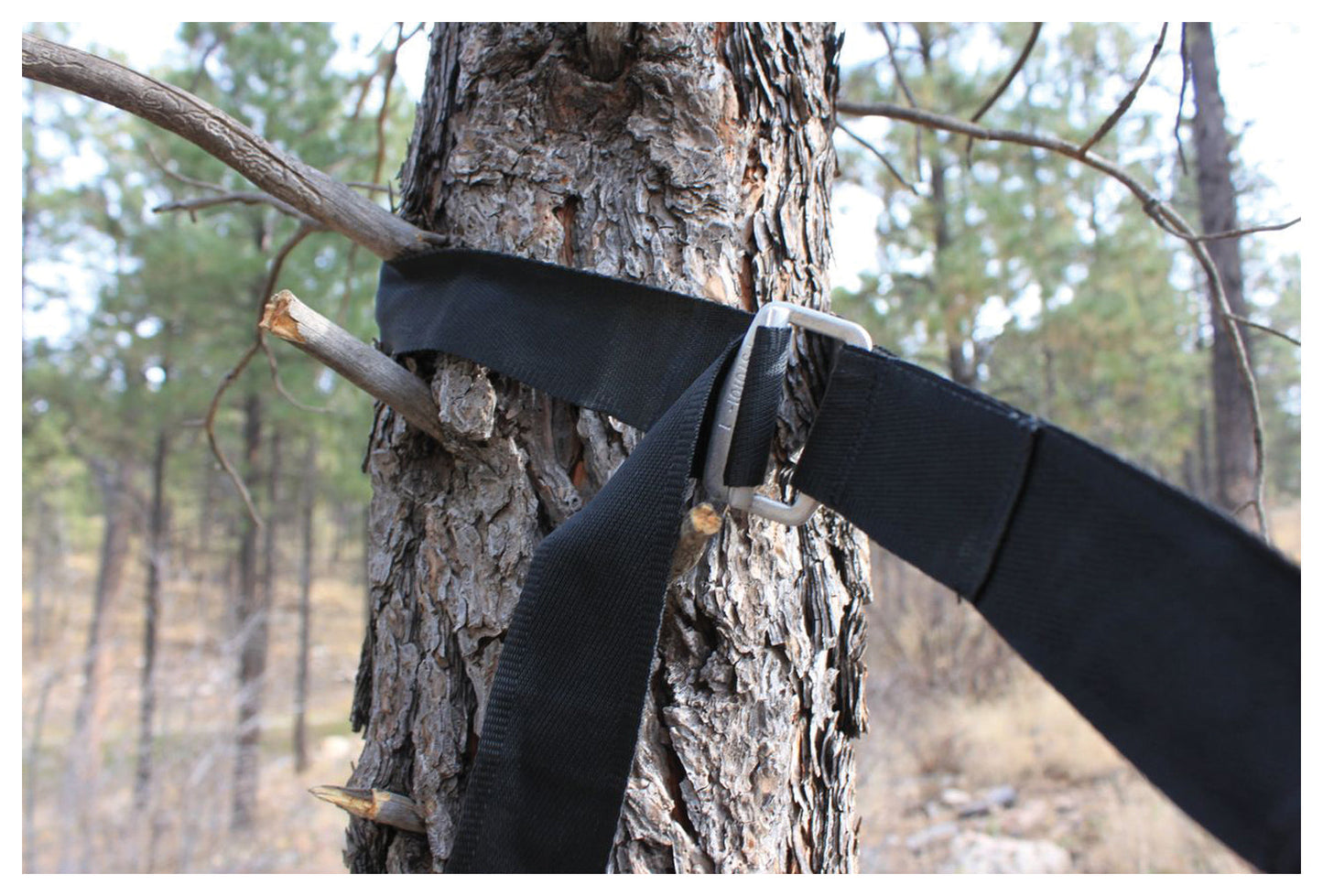 Deluxe Cinching Tree Straps Hammock Bliss