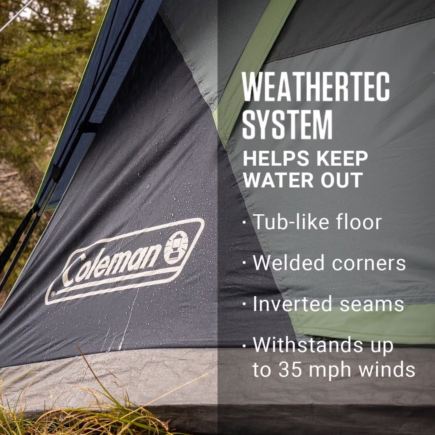 6-Person Skydome Camping Tent - Blackberry