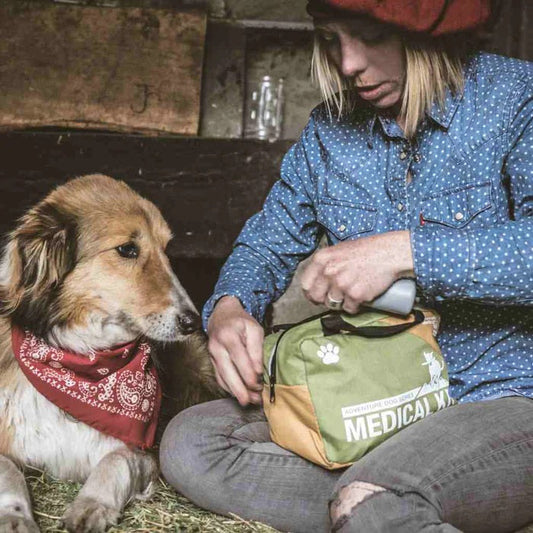 Adventure Dog Medical Kit - Workin' Dog Adventure Medical Kits