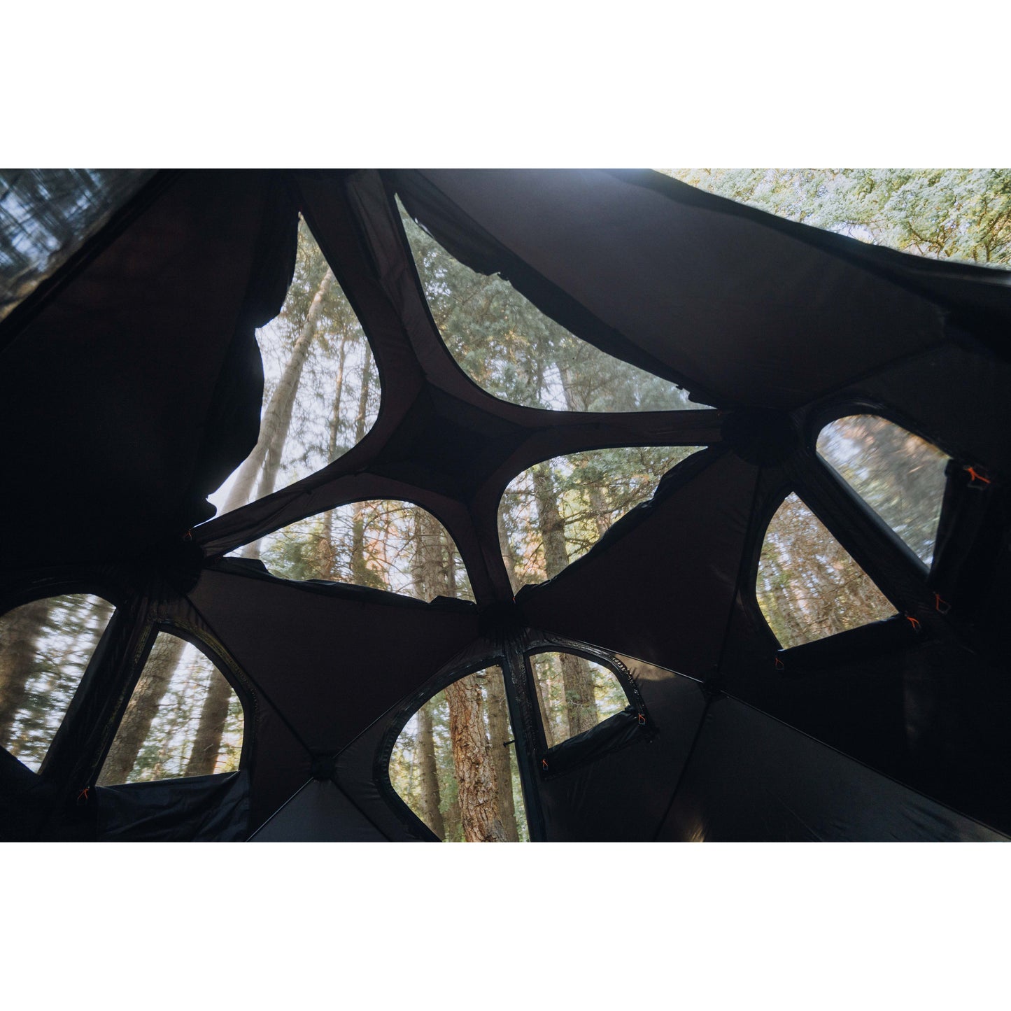 Drifter Tent
