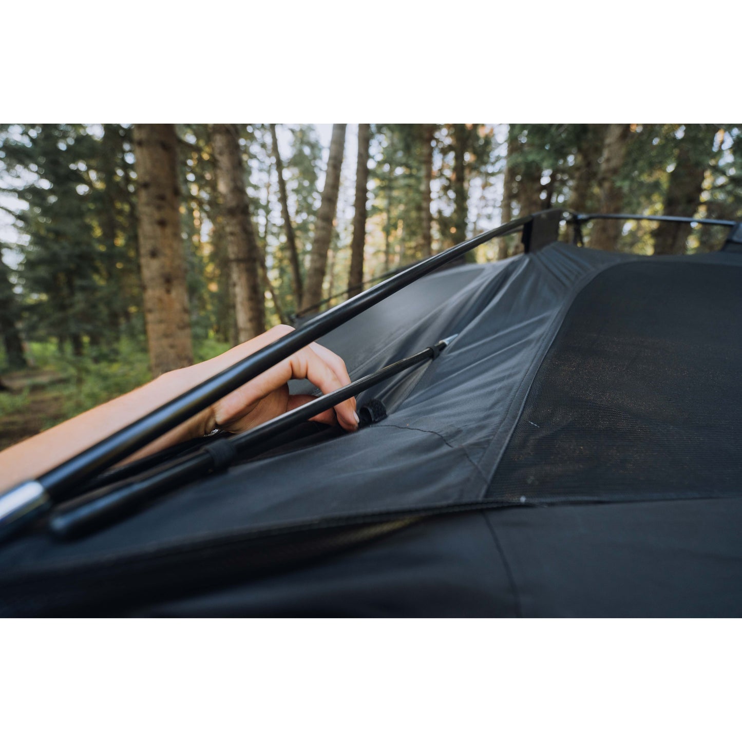 Drifter Tent
