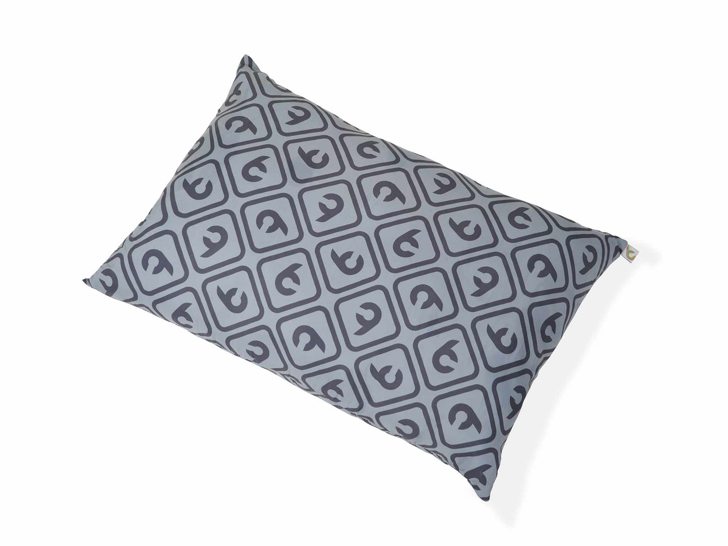 Camp+ Pillow