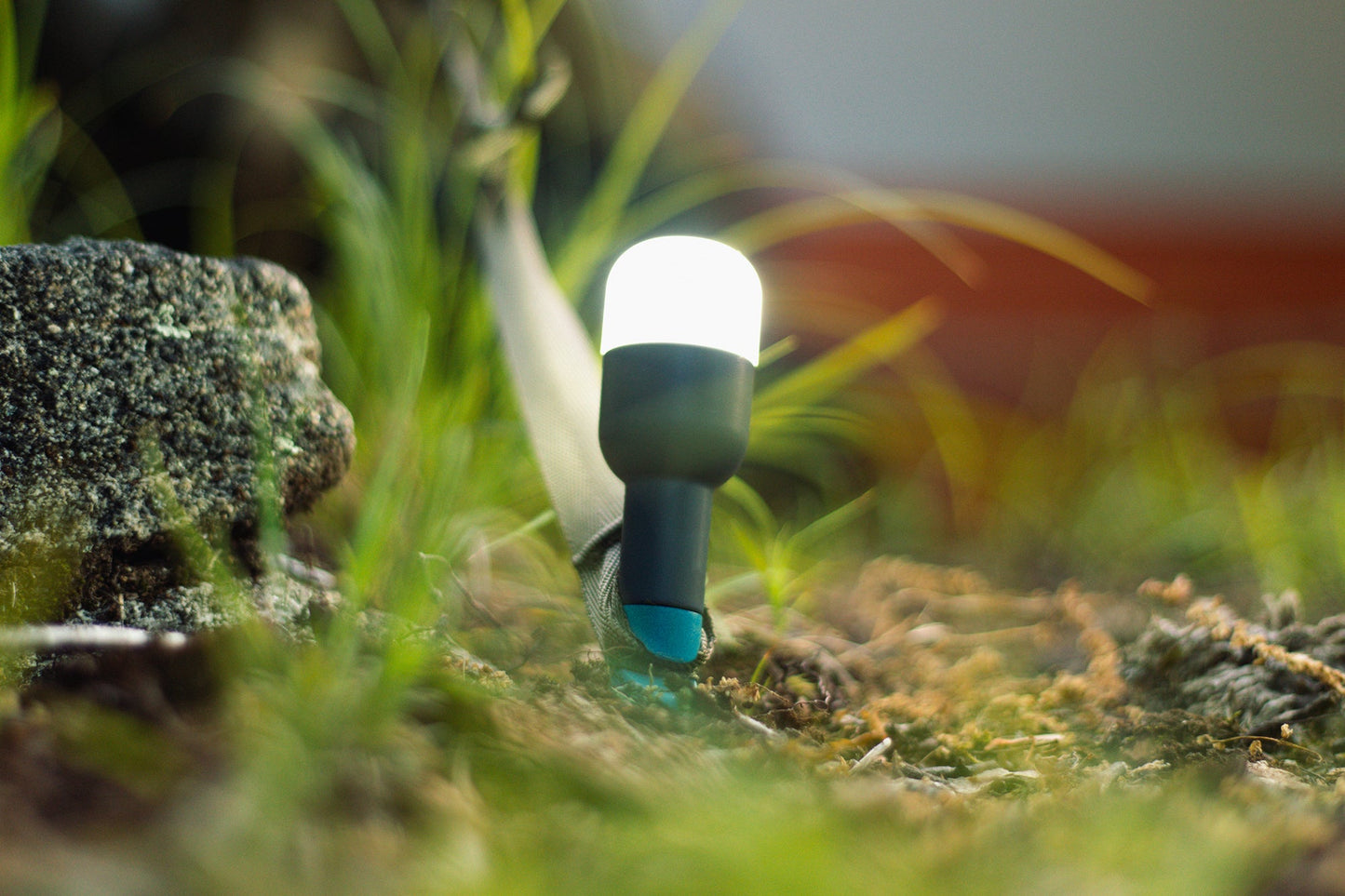 Site Lights BioLite