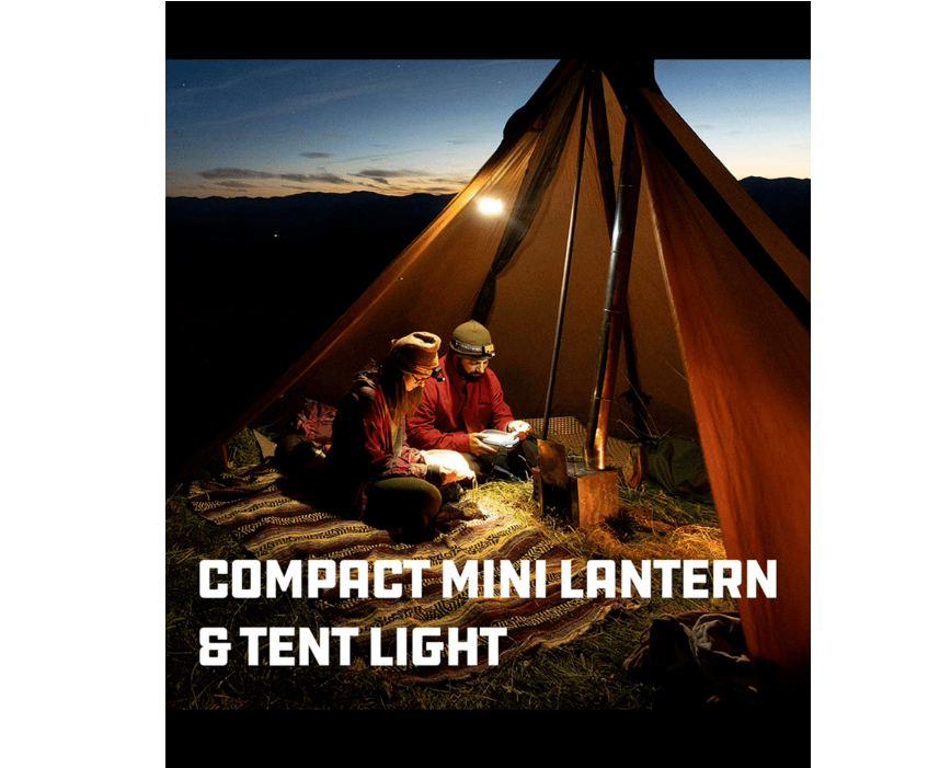 Sprout LED Lantern