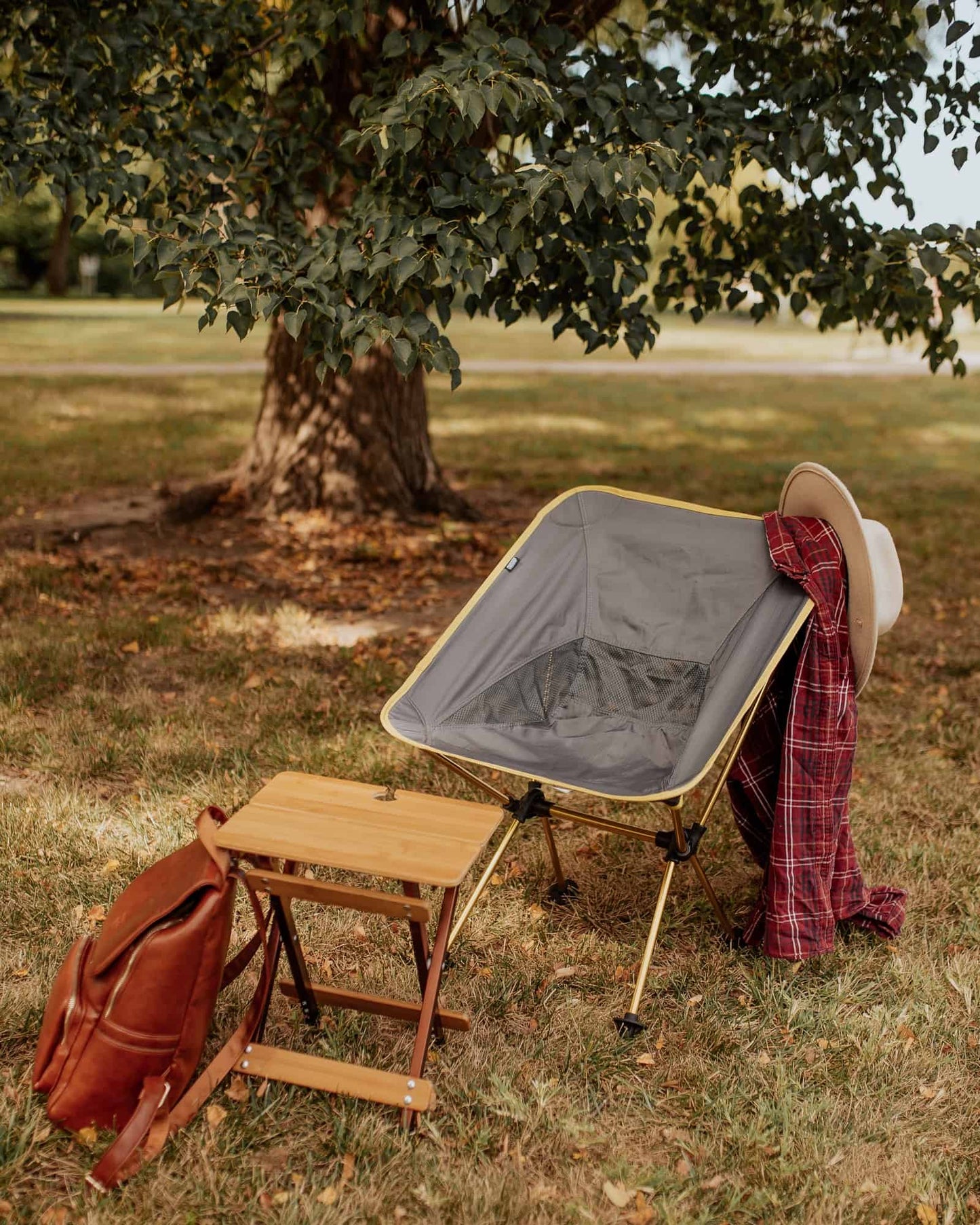 Joey Chair Travel Chair