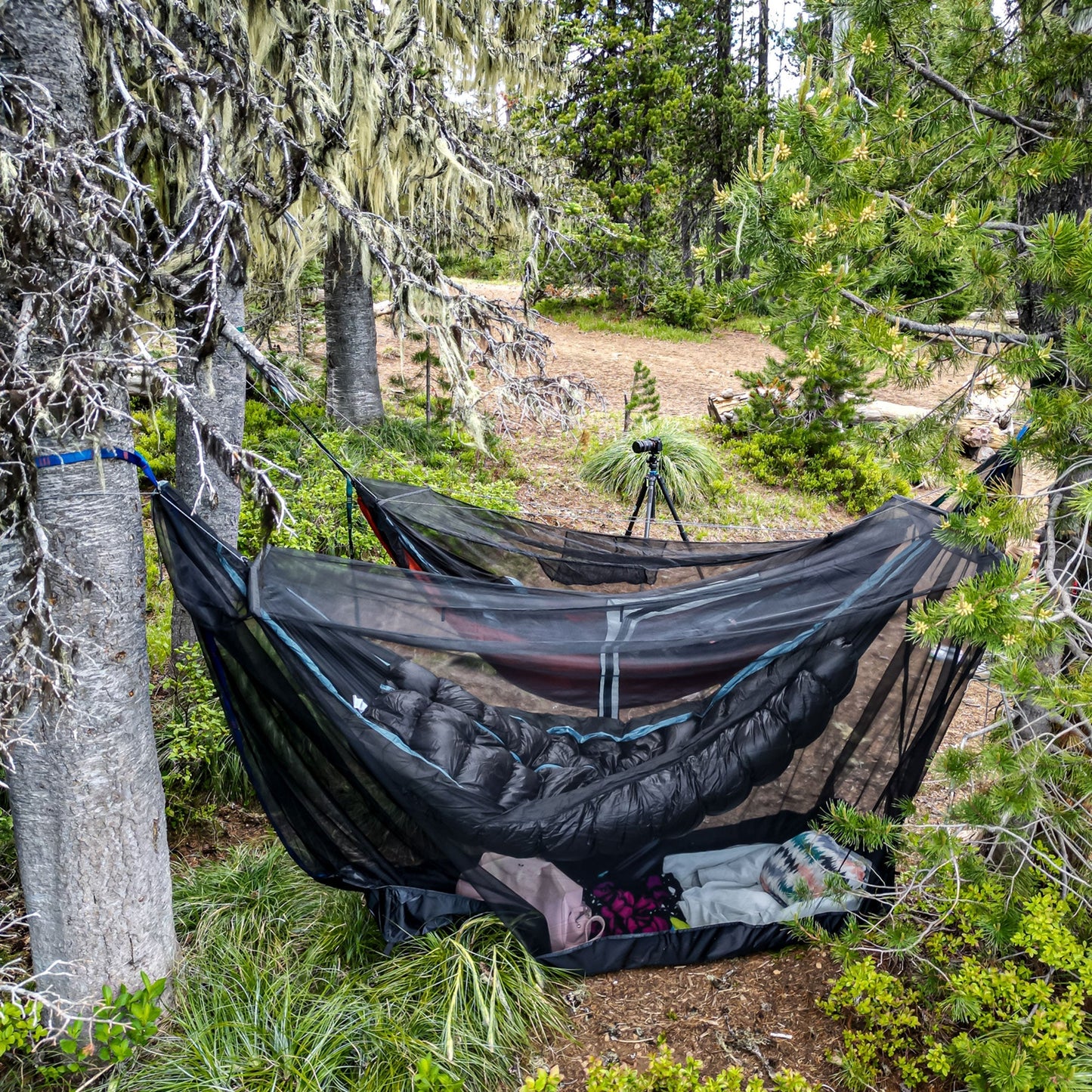 MOZZY 360 Hammock Bug Net Shelter GrandTrunk