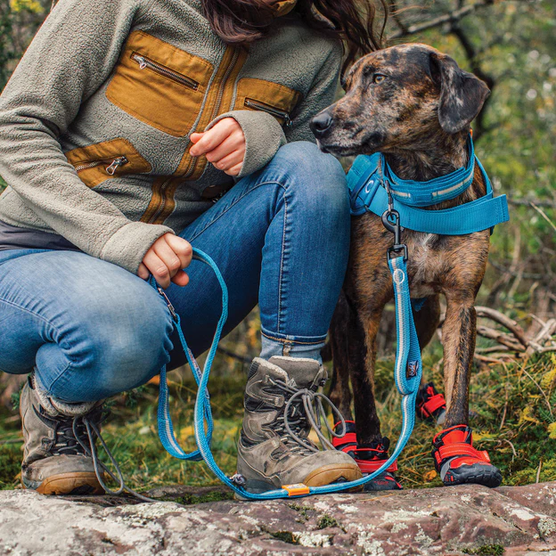 molle_leash-3_11-18_cmyk.webp