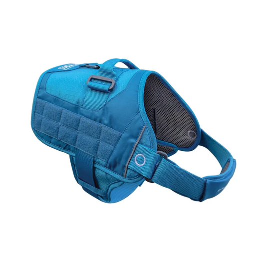 Townie_Dog_Harness__95744.webp