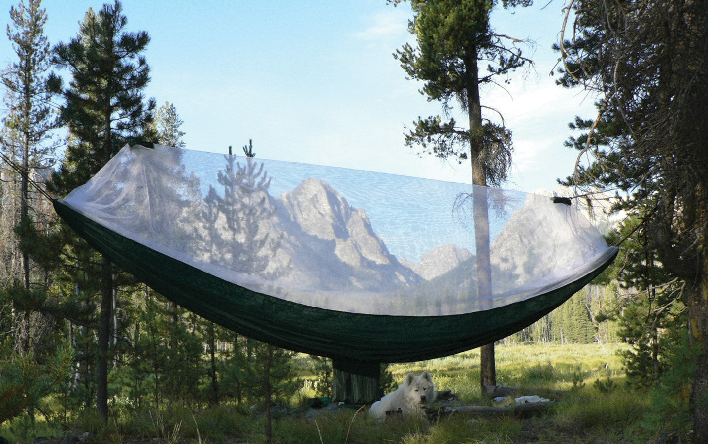 Hammocks