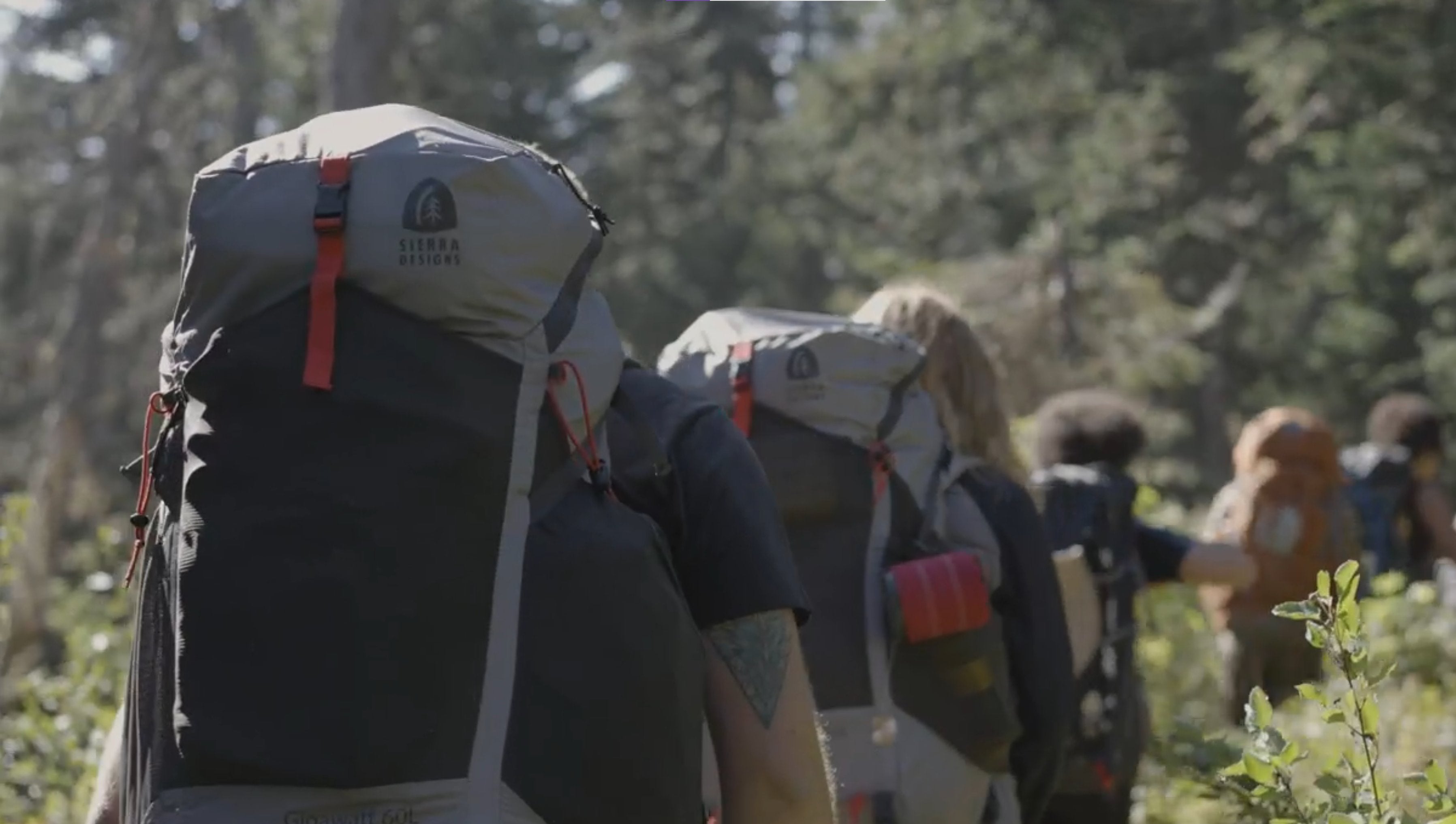 Hiking & Hydration Packs