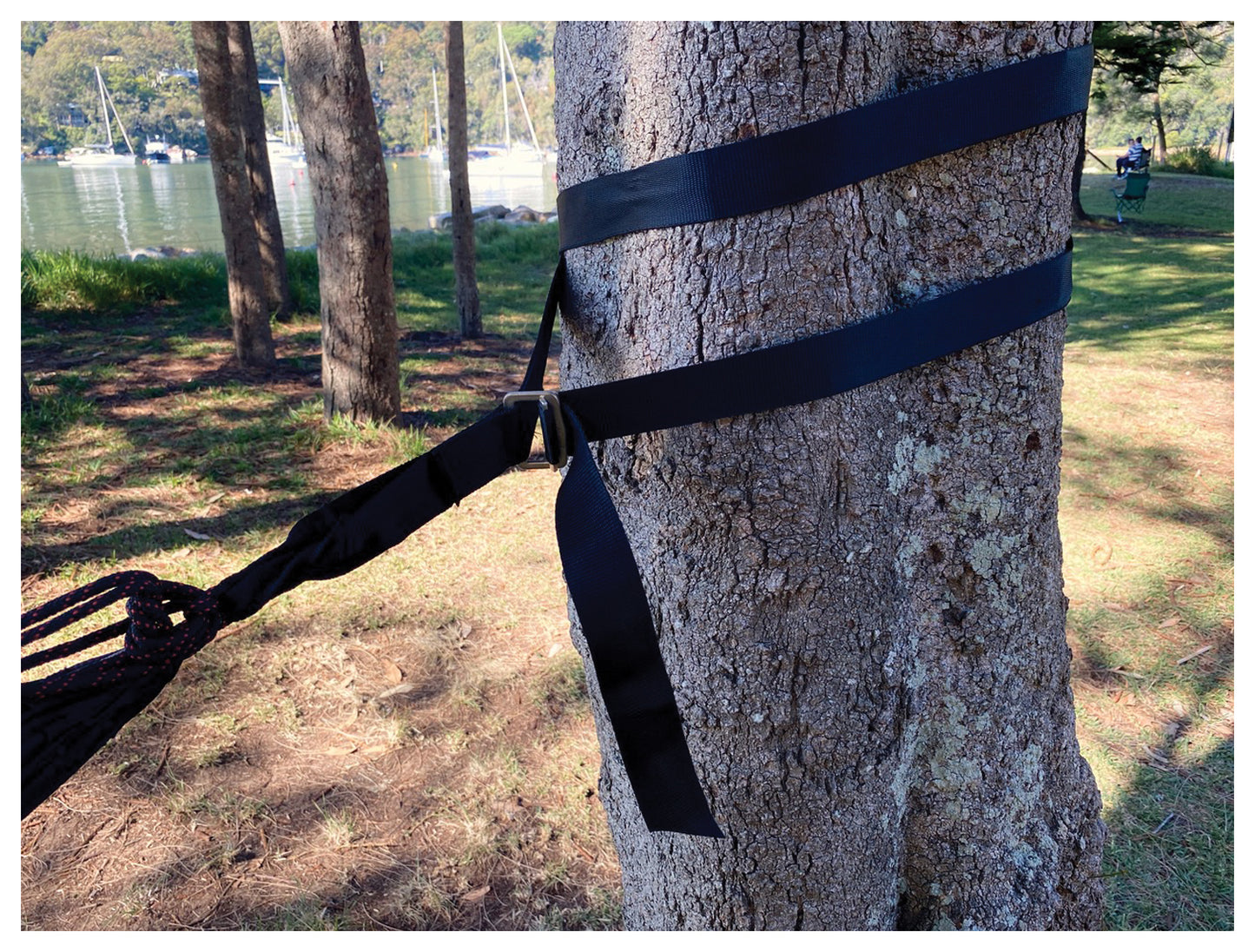 Deluxe Cinching Tree Straps