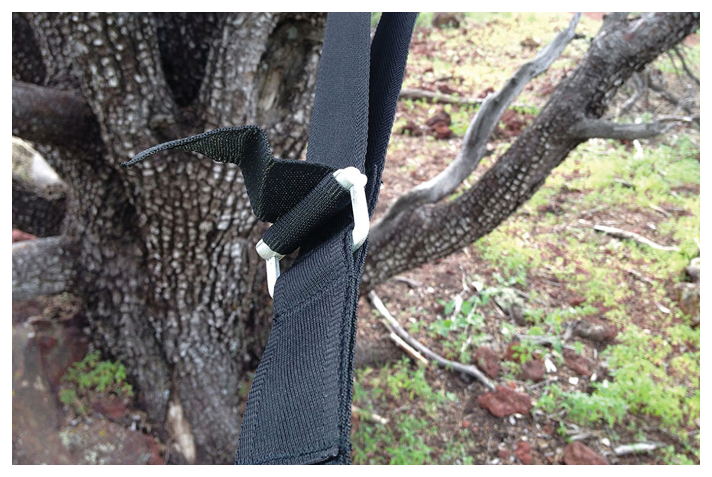 Deluxe Cinching Tree Straps