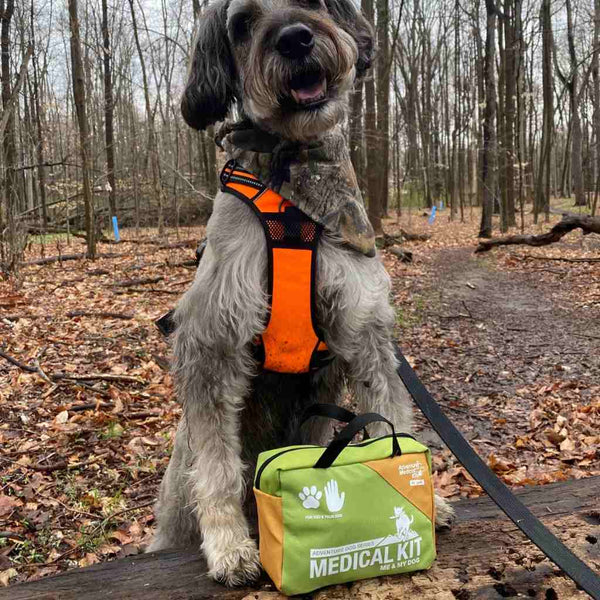 Adventure Dog Medical Kit - Me & My Dog Adventure Medical Kits