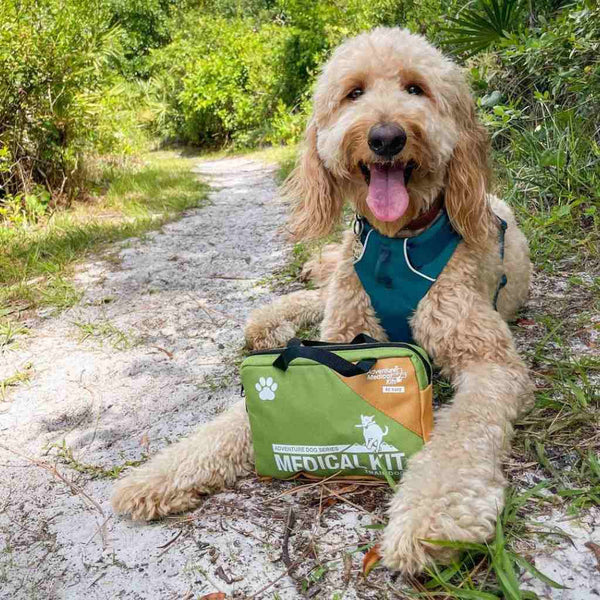 Adventure Dog Medical Kit - Trail Dog