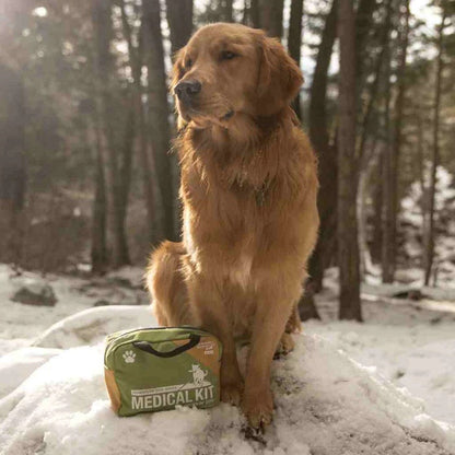 Adventure Dog Medical Kit - Workin' Dog Adventure Medical Kits