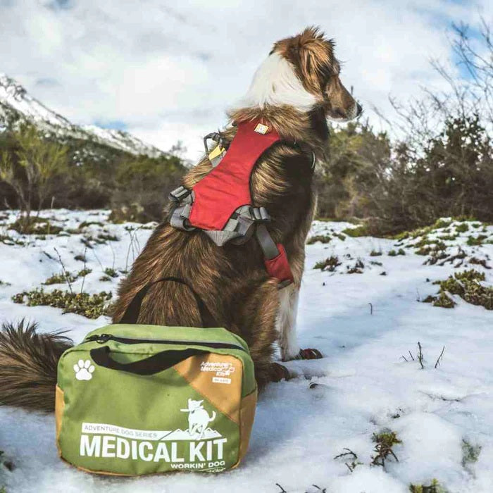 Adventure Dog Medical Kit - Workin' Dog Adventure Medical Kits