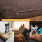 Dog Bed