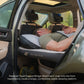 AIR+FOAM PRO Vehicle Mattress