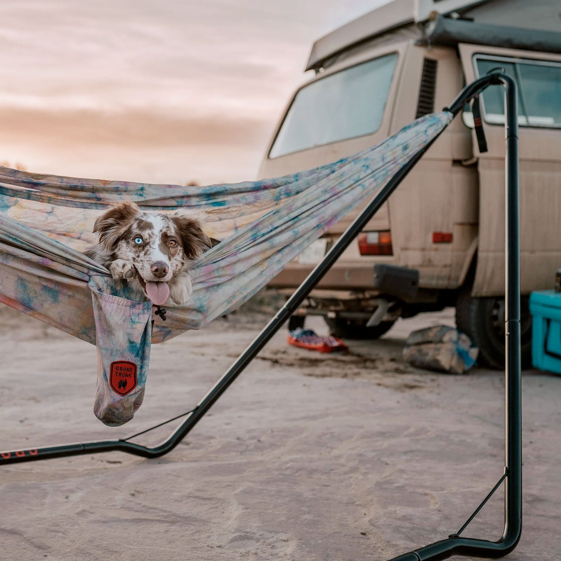 Dog in a colorful hammock attached to a van in a desert setting