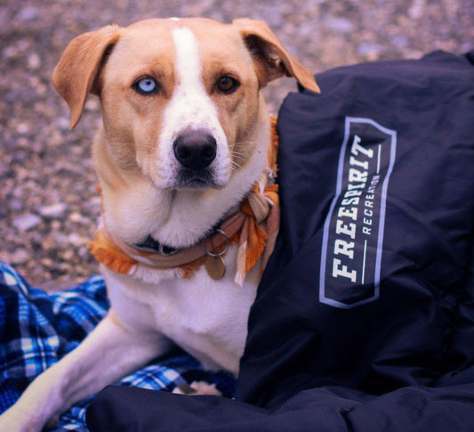 Freespirit Recreation Sleeping Bag Freespirit Recreation