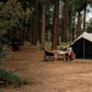 Rover Scout Tent 8'x13'