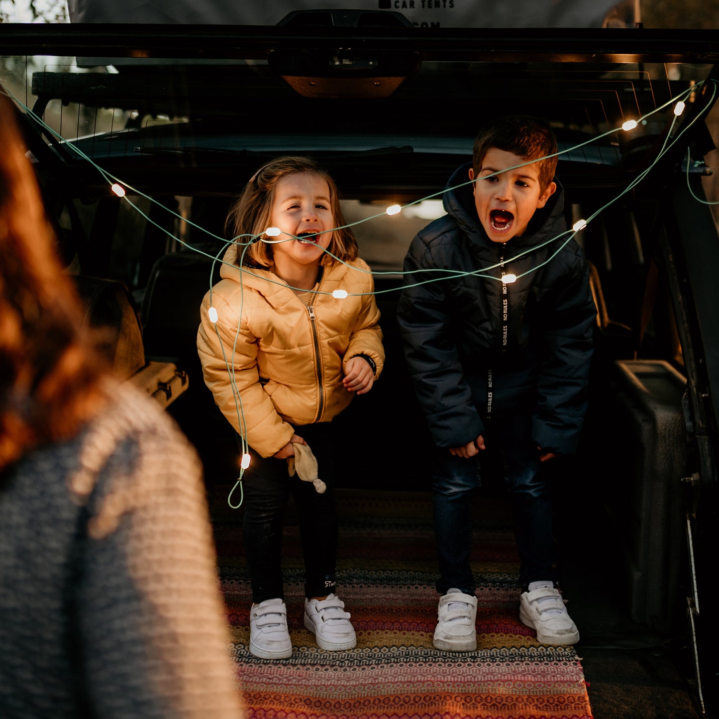 Solar String 18' Portable String Lights & Mobile Charger