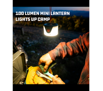 Sprout LED Lantern