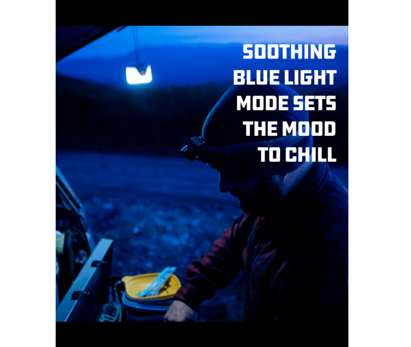 Sprout LED Lantern