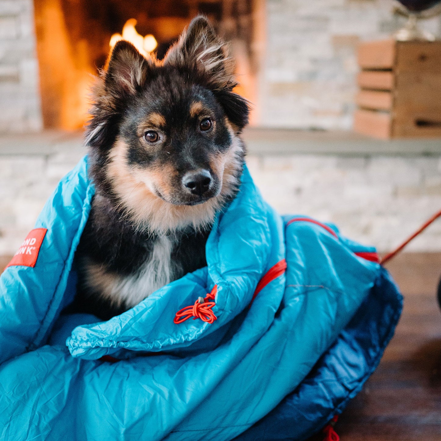 Dog wrapped in a blue sleeping bag with a fireplace in the background