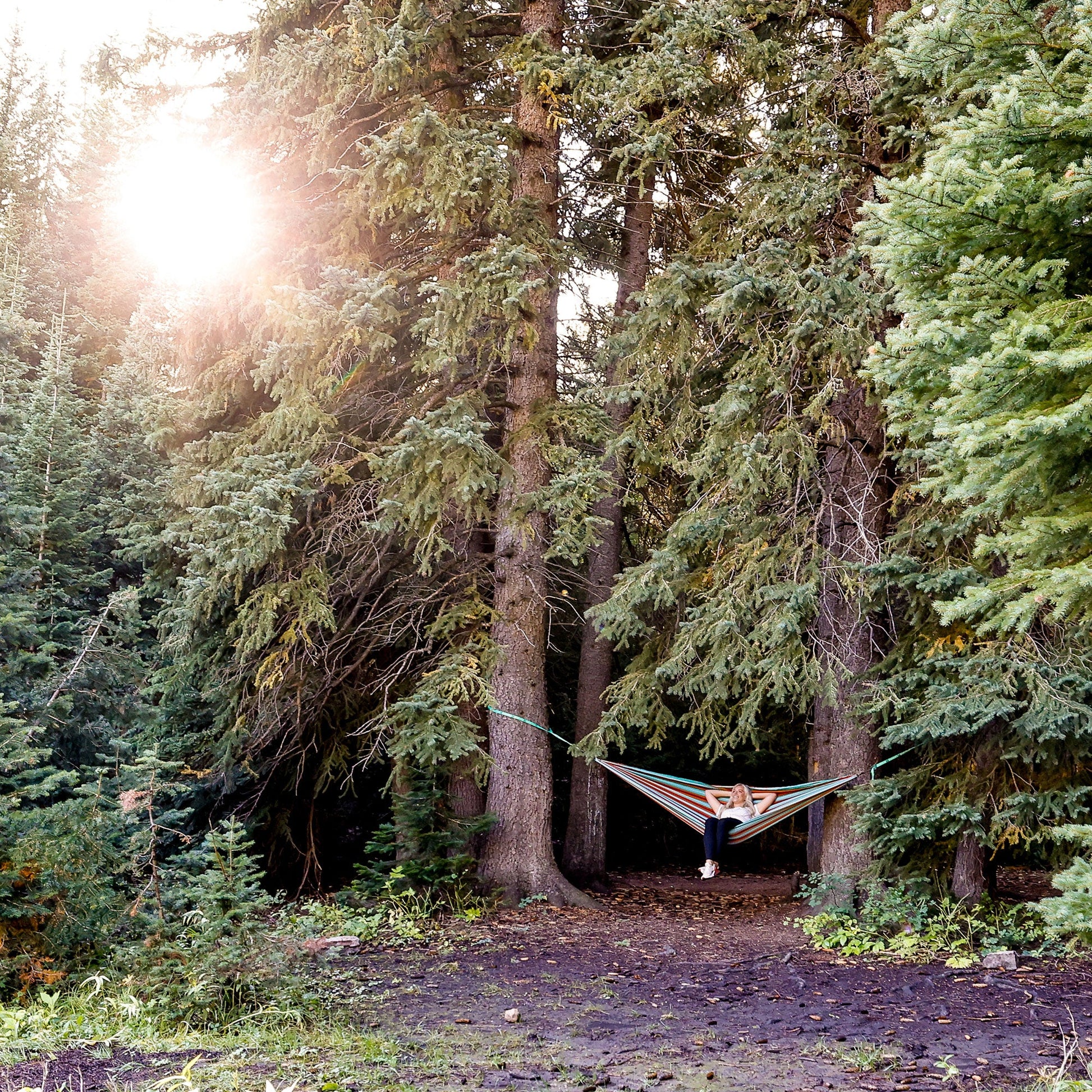 Person in a hammock between two trees in a forest