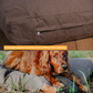 Dog Bed