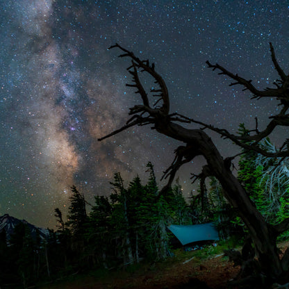 Air Bivy All Weather Shelter & Hammock