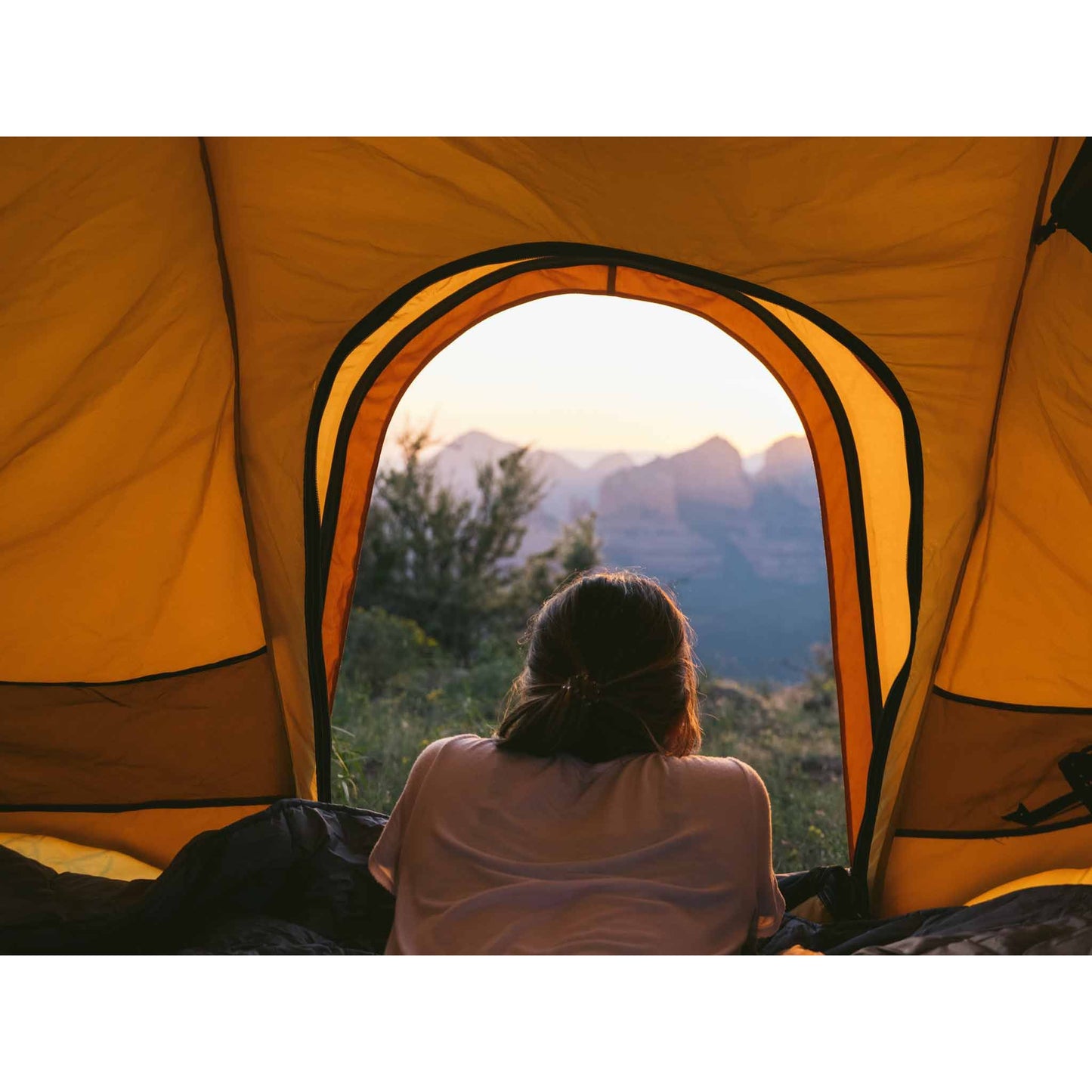 REV ROOF TOP TENT X