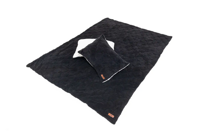 Cloud Comforter & Pillow Case Set Freespirit Recreation