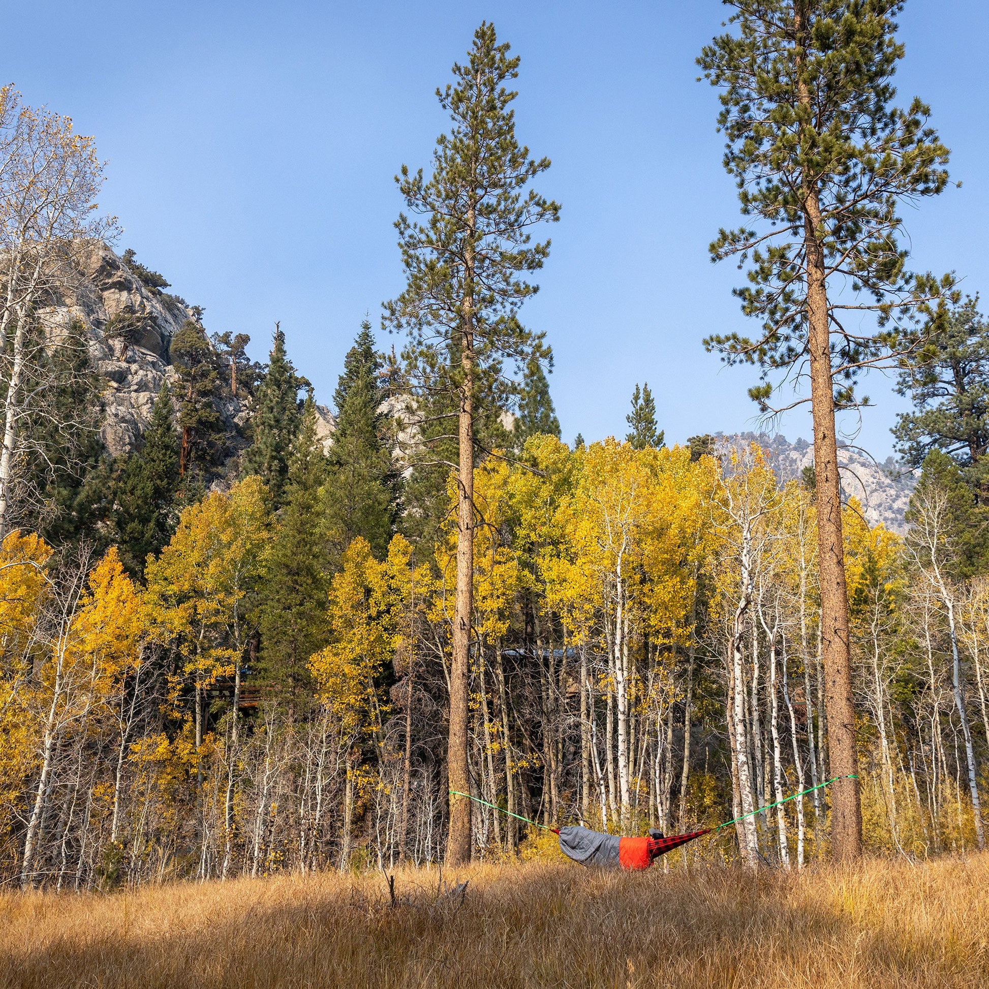 Person in a hammock surrounded by trees with autumn foliage and mountains in the background.