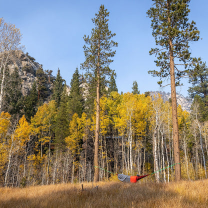 Person in a hammock surrounded by trees with autumn foliage and mountains in the background.