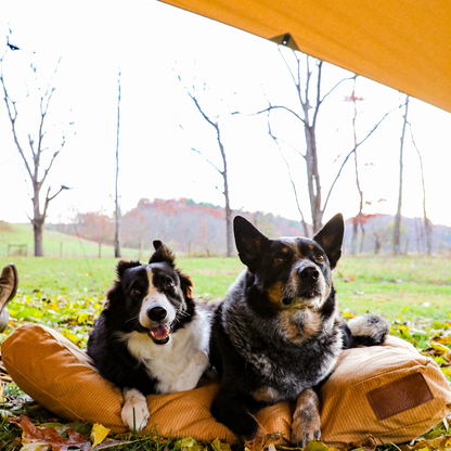 Sunshade Tarp 13'x8'