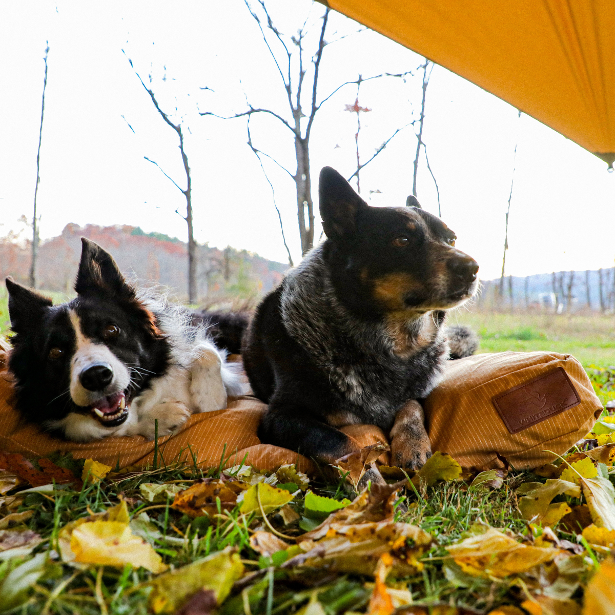 Sunshade Tarp 13'x8'