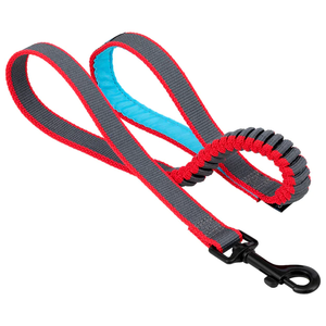 Springback Lite Dog Leash - 30