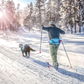 Skijoring_image-min__66205.webp