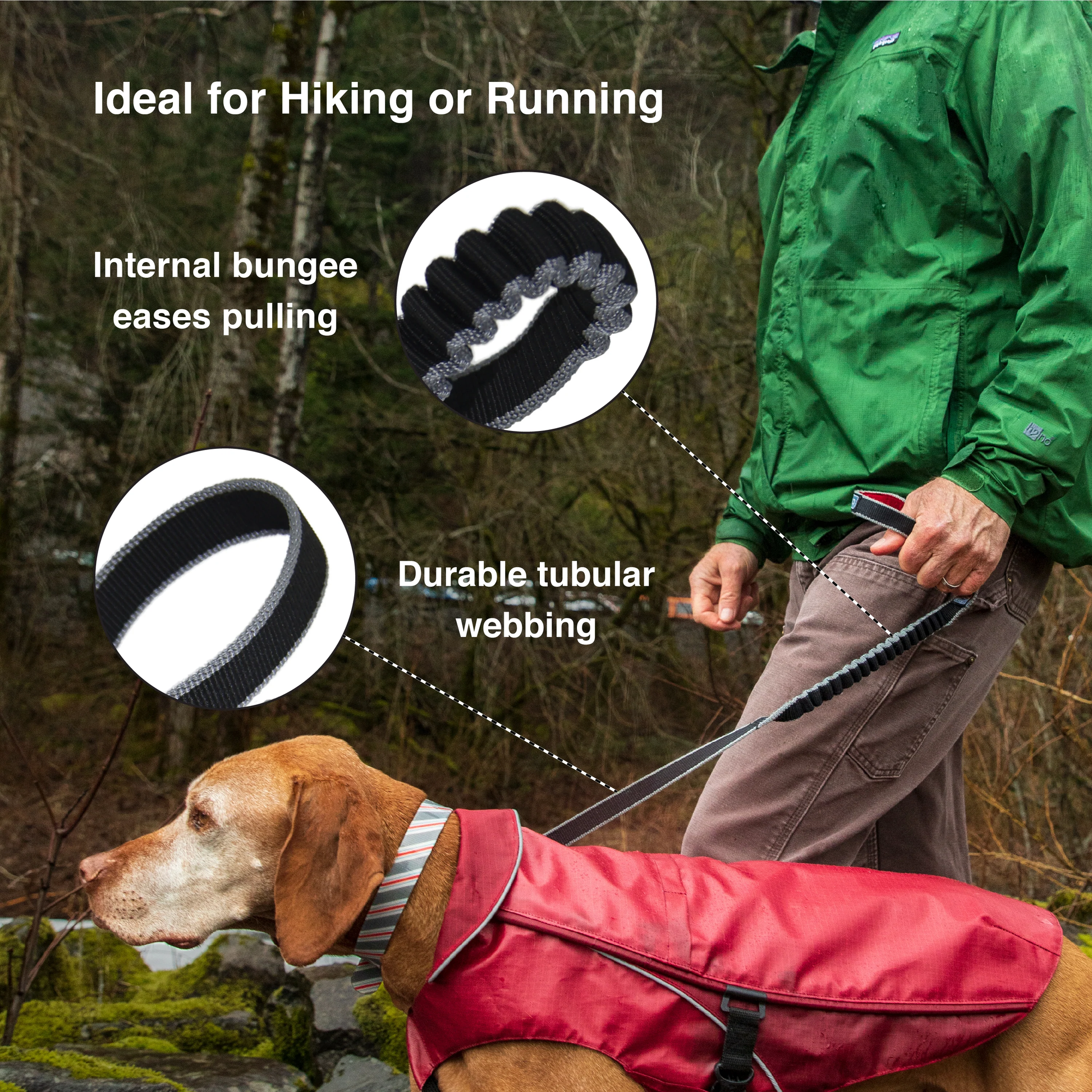 BAU-8227-Springback-Leash-Amazon_Bplus-1.webp