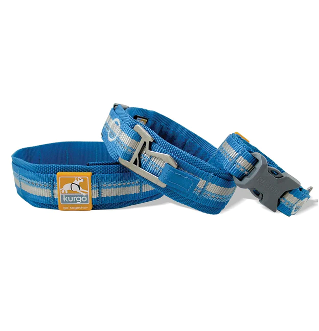 Comfortable_dog_collar__92873.webp