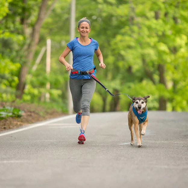 Bungee_Leash_Dog_Running_Leash_Springback_Lite_Lifestyle_Around_Waist__18133.webp