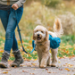 rsg_pack-8_12-18_cmyk.webp